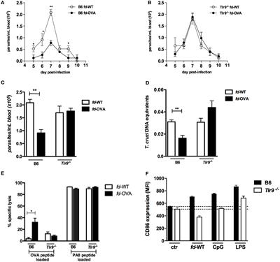 Vaccination With Recombinant Filamentous fd Phages Against Parasite Infection Requires TLR9 Expression